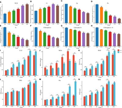 The transcriptional regulatory network of hormones and genes under salt stress in tomato plants (Solanum lycopersicum L.)